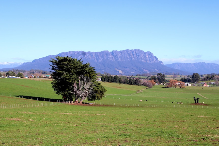 Green farmland with a mountain in the distance.