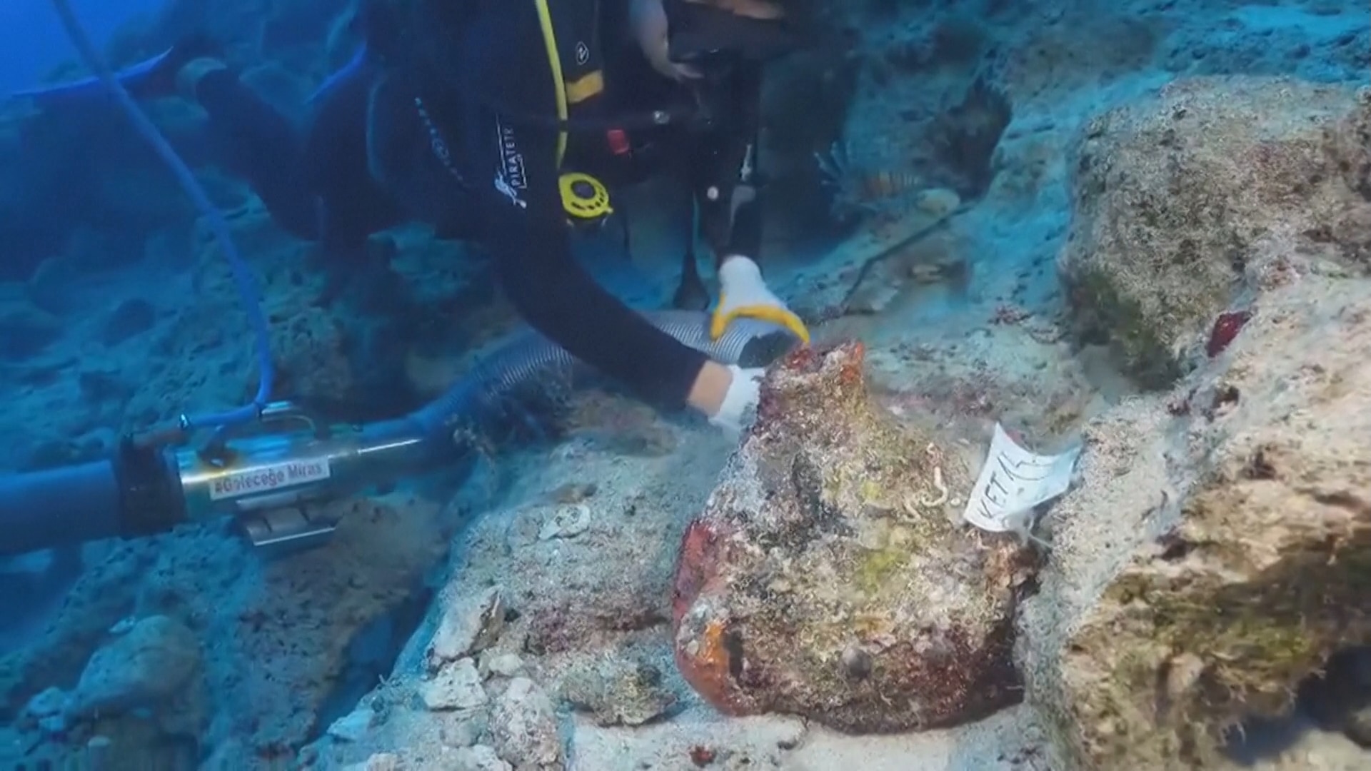 'World's oldest known' shipwreck revealed with Sydney archaeologist's help
