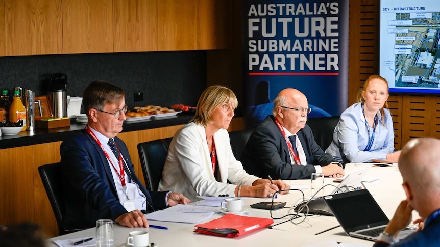 french senators meeting with Naval Group