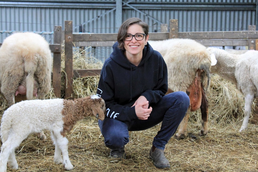 Nicole Gilliver with lambs at Grandvewe