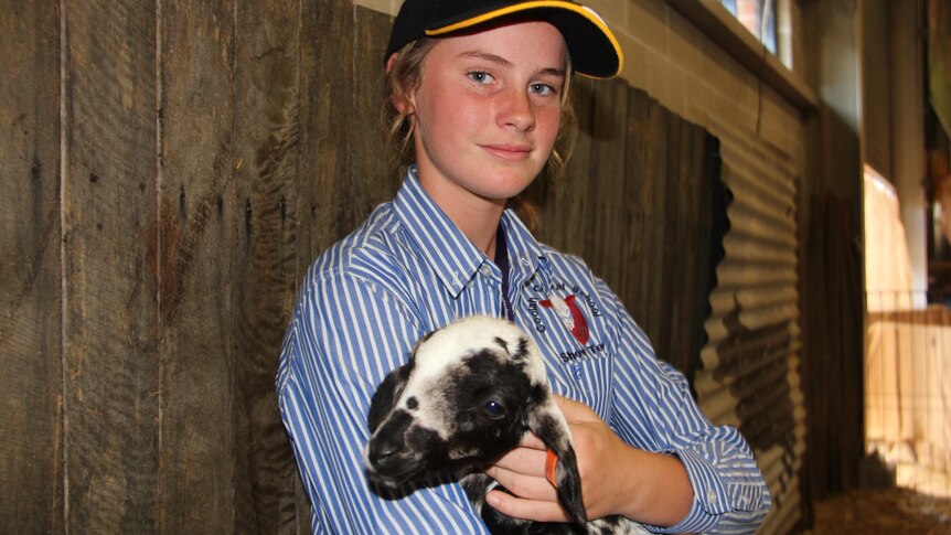 A girl holds a baby goat in her arms.