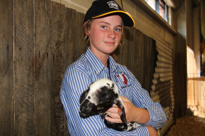 A girl holds a baby goat in her arms.