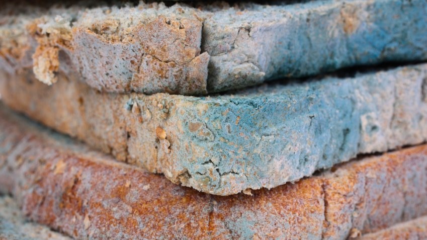 Three slices of bread covered in blue mould.