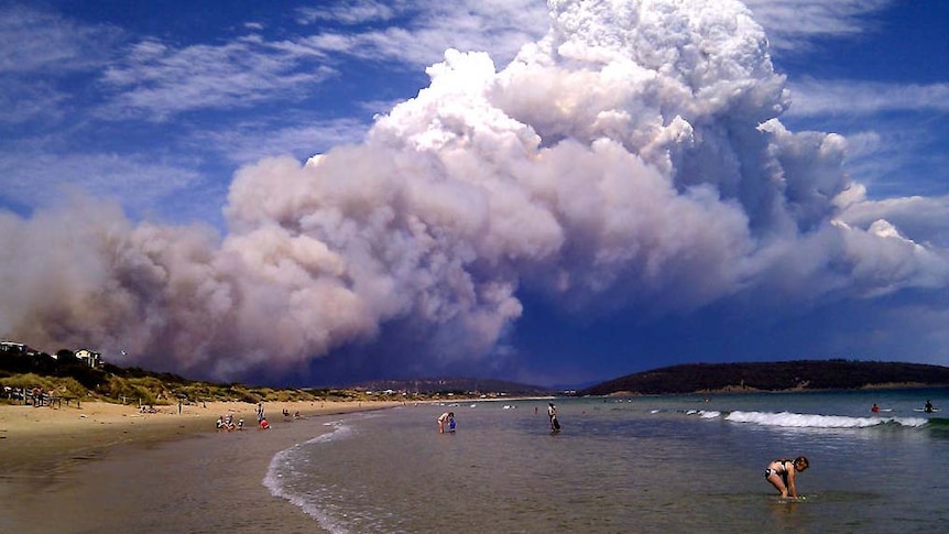 Smoke from a bushfire near Forcett