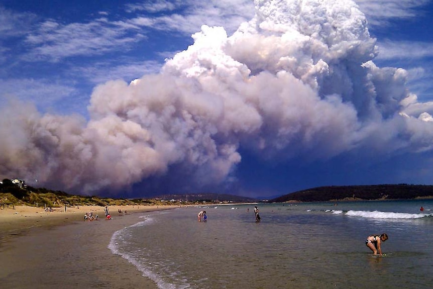 Smoke from a bushfire near Forcett