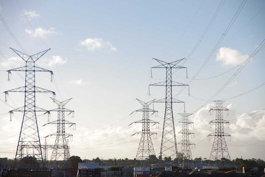 Transmission towers rise into the sky over some buildings and trees