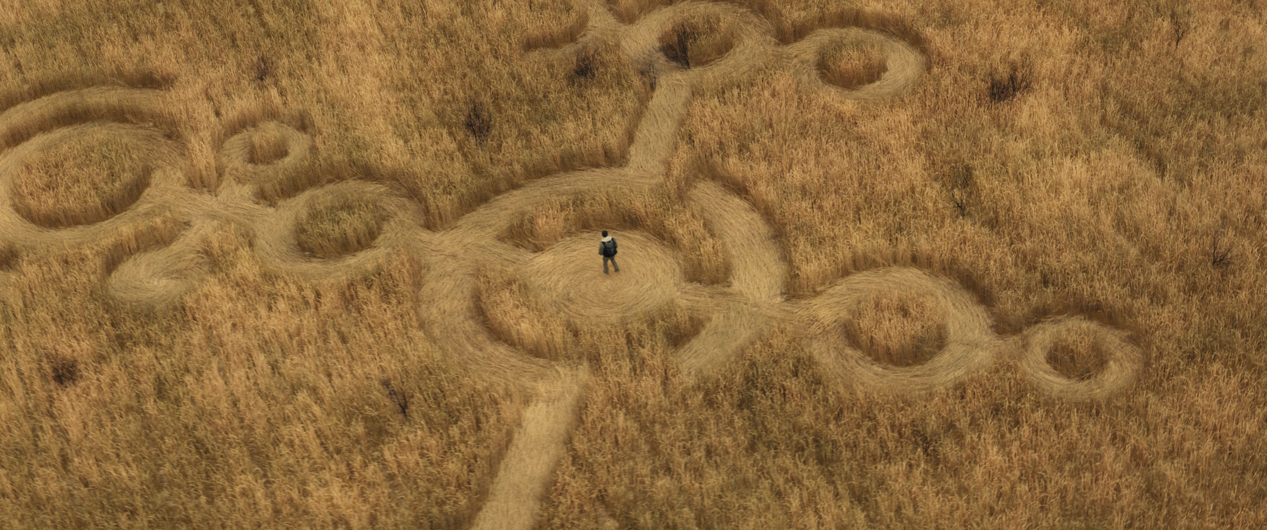 A man stands in a crop circle