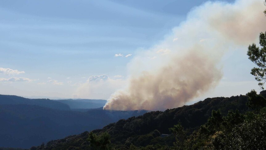Smoke rises from a bushfire in the Numinbah Valley