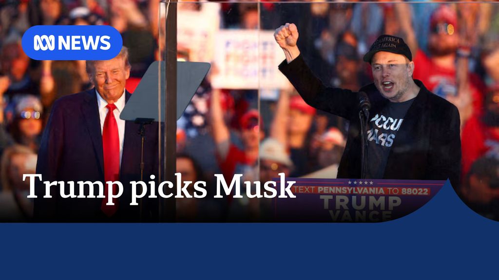 Police investigate suspected postal vote tampering in local council