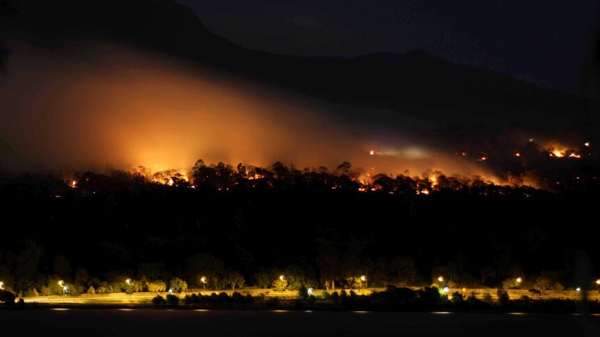 A bushfire burns at the Domain in Hobart.