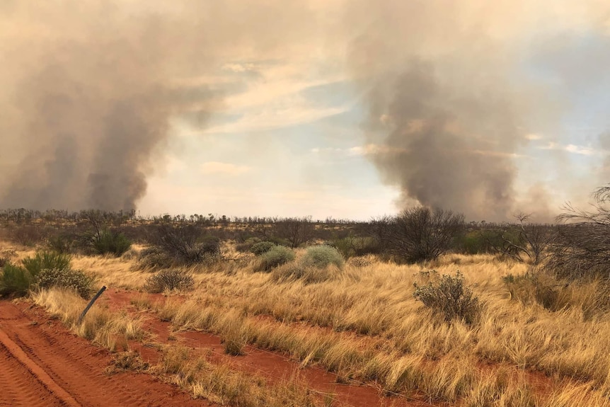 Yellow scrub with dark smoke in the background against a light blue cloudy sky