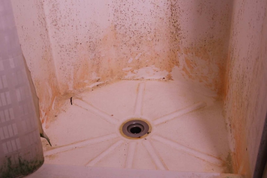 Inside a mouldy, filthy shower in the detention centre