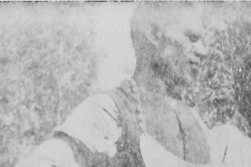 A grainy black and white image of an Aboriginal man wearing a shirt and vest with a large necklace.
