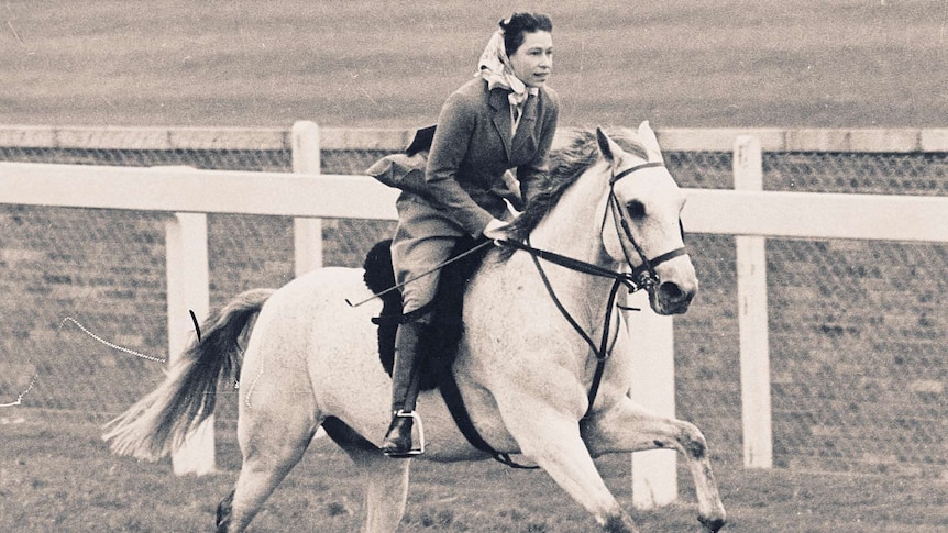 The Queen riding a grey gelding horse.