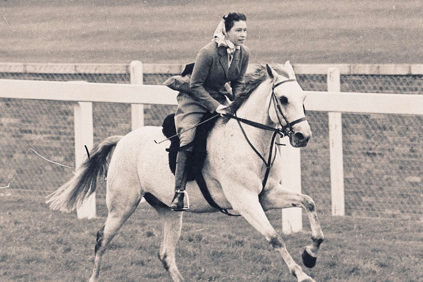 The Queen riding a grey gelding horse.