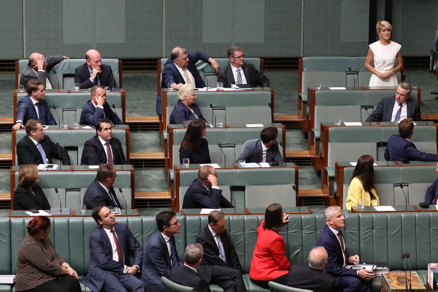 Julie Bishop, standing and wearing a white dress, speaks in the House of Representatives as other MPs watch on.