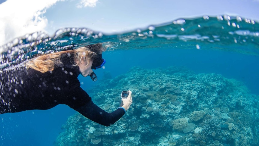 Female snorkeller taking photo of reef