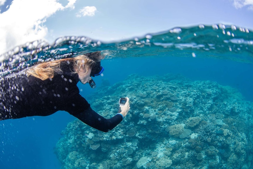 A female snorkeller taking a photo of a coral reef.