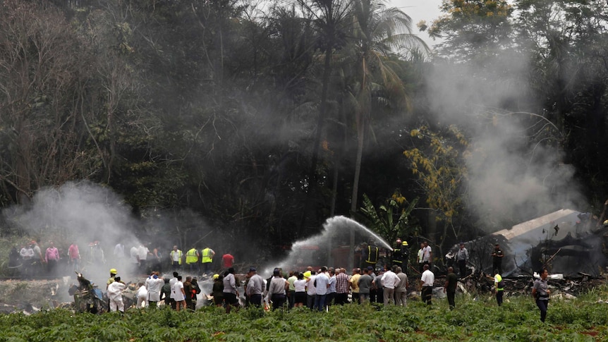 Smoke rises from the wreckage of a crashed Boeing 737, lying in a lush green field, surrounded by about 50 people.