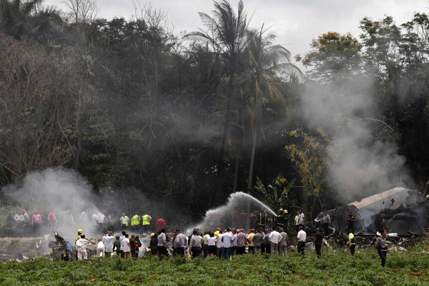 Smoke rises from the wreckage of a crashed Boeing 737, lying in a lush green field, surrounded by about 50 people.