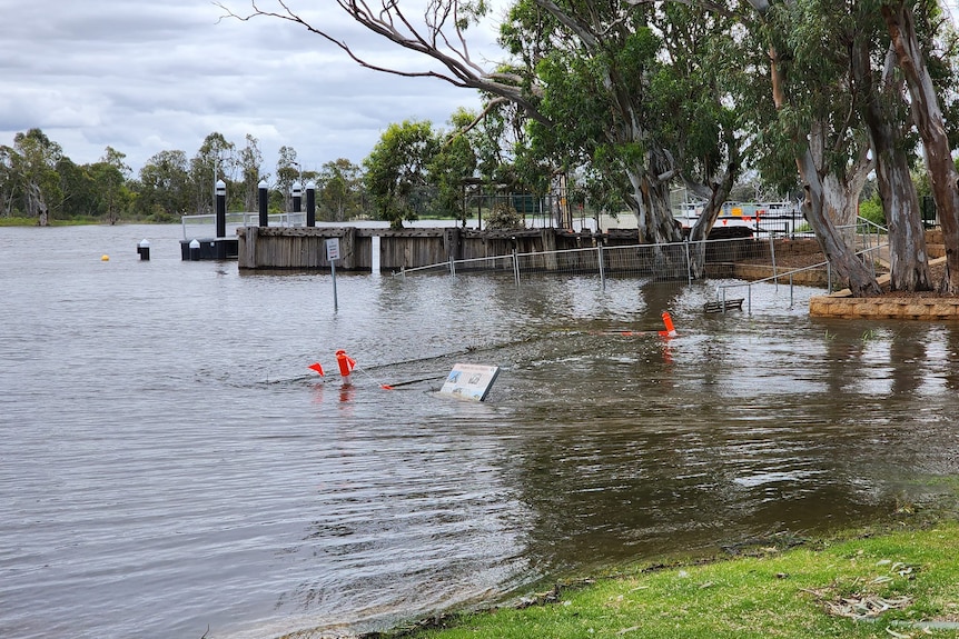 River levels rise over a park in Swan Reach with a sign and park bench now under water