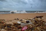 A plastic bottle lies among other debris washed ashore on the Indian Ocean beach in Sri Lanka.