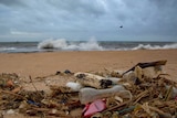 A plastic bottle lies among other debris washed ashore on the Indian Ocean beach in Sri Lanka.