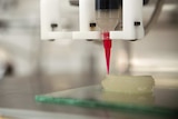 An ear is fabricated with a 3D printer in a laboratory at Cornell University.