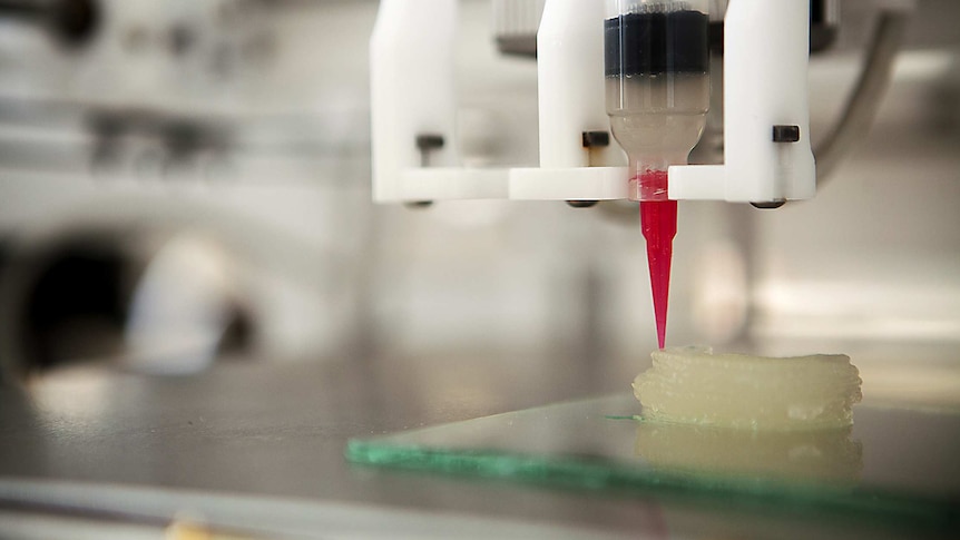 An ear is fabricated with a 3D printer in a laboratory at Cornell University.