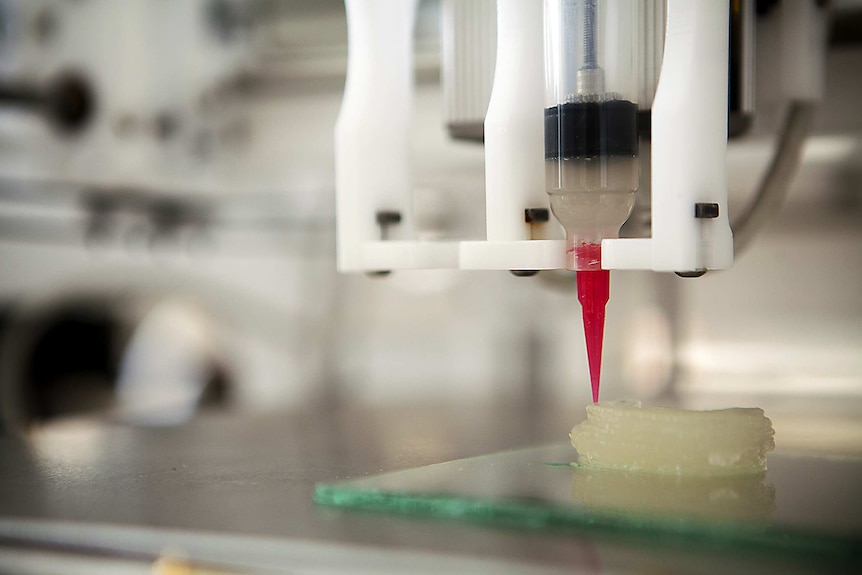 An ear is fabricated with a 3D printer in a laboratory at Cornell University.