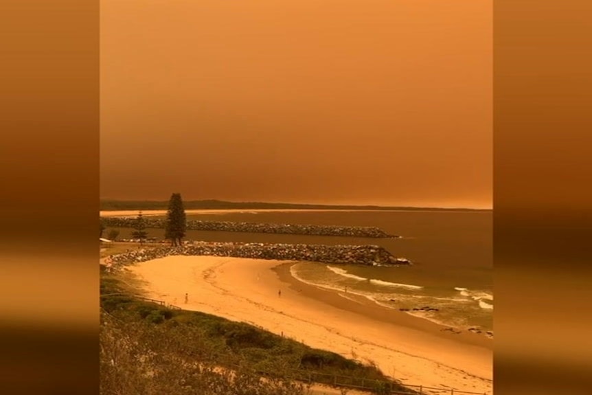 Bushfires blanket Port Macquarie in orange haze