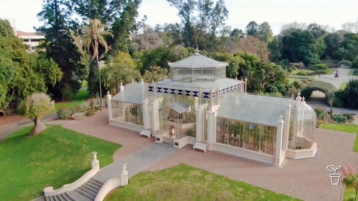 Large botanical glasshouse in formal garden