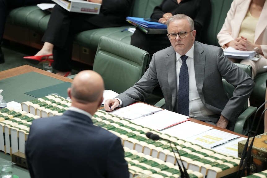 Anthony Albanese looks across the table at Peter Dutton during Question Time.