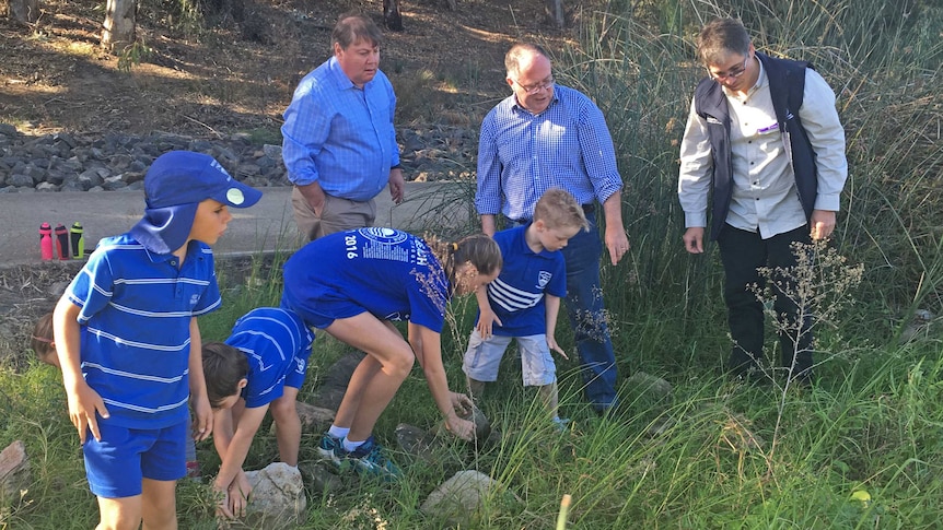 Students search for frogs in Adelaide wetlands