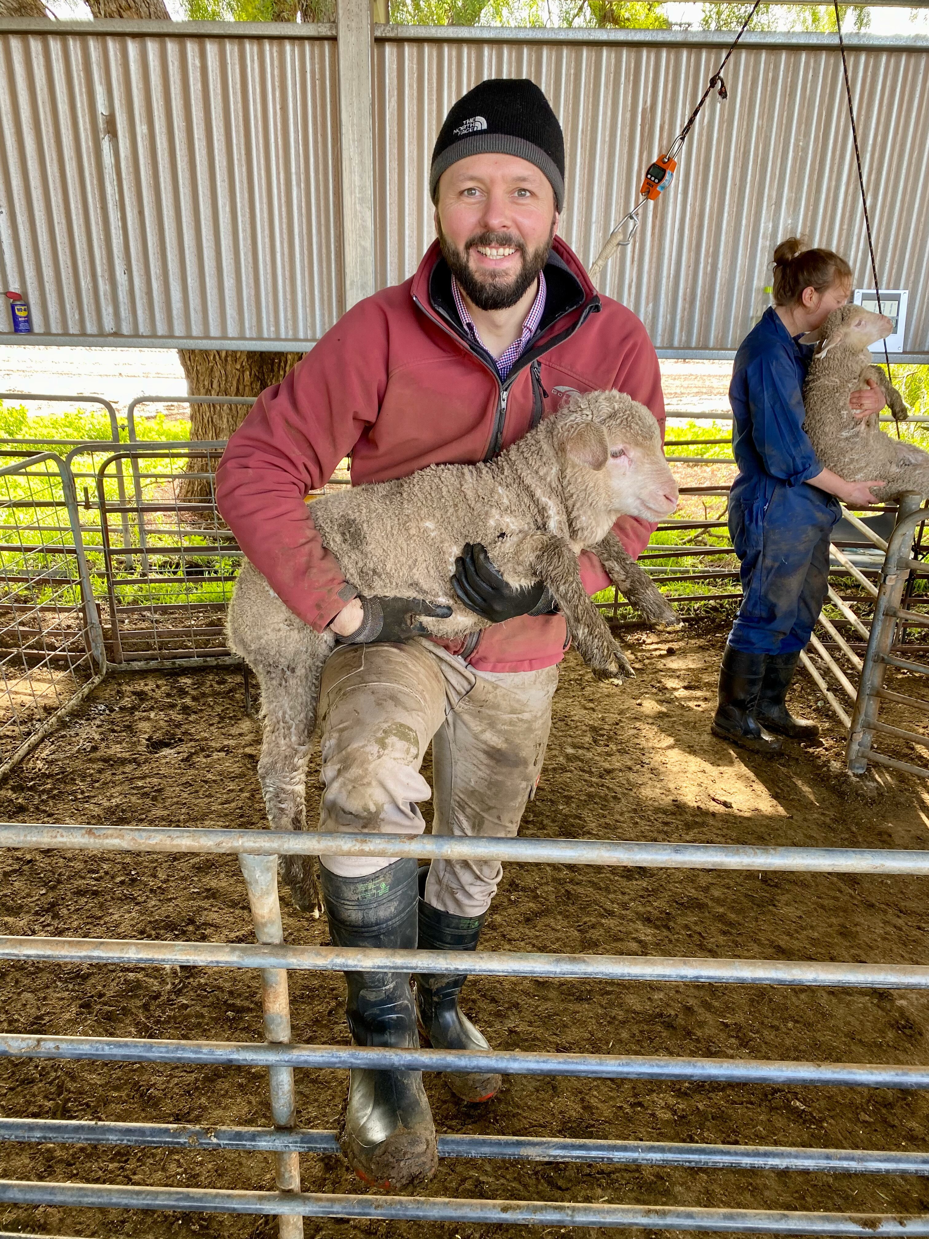 A bearded man in a dusty red zippered jacket, dark beanie, moleskins and gumboots holds a young lamb