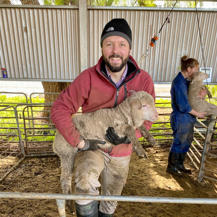 A bearded man in a dusty red zippered jacket, dark beanie, moleskins and gumboots holds a young lamb