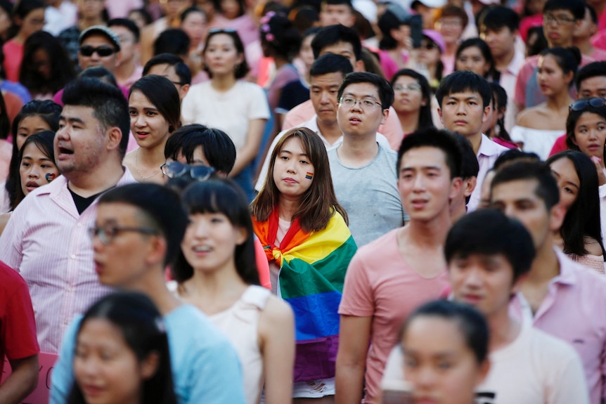 A woman wrapped in the rainbow flag is seen at the Pink Dot rally, Singapore's annual gay pride rally,