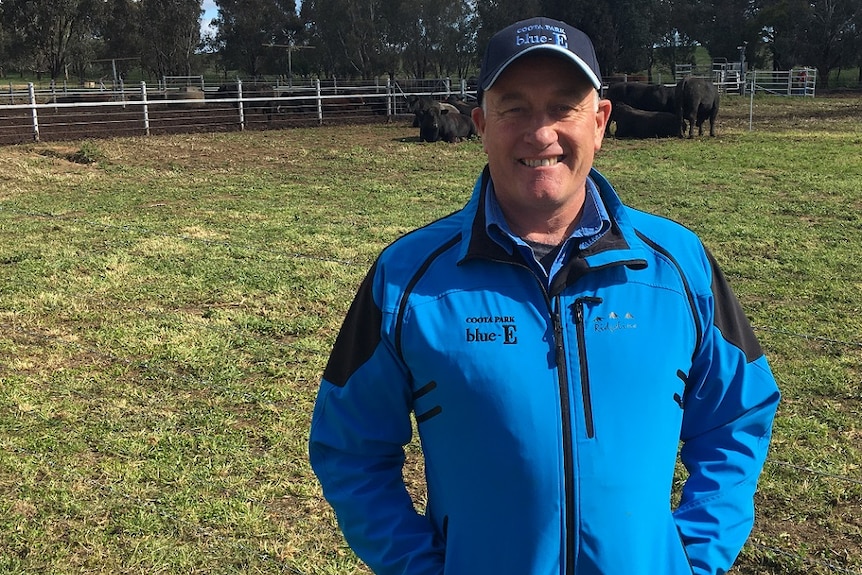 Cattle breeder Jon Wright in a paddock pictured with his cattle in the background.