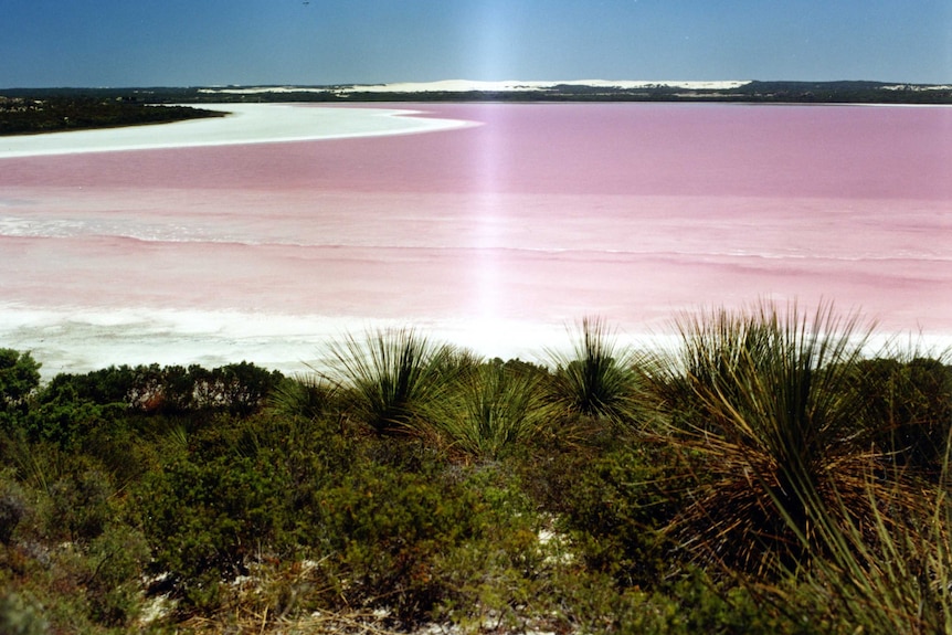 The Pink Lake in Esperance, circa 1970s.