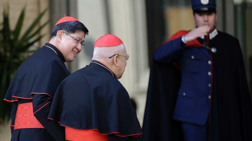 Cardinals meet to choose new pope
