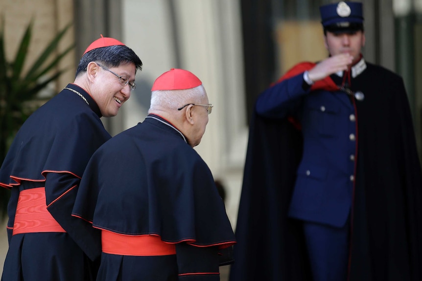 Cardinals arrive in Rome