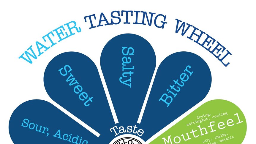 A wheel highlighting different aspects of taste, used to judge water.