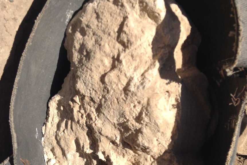 Close view of a whitish substance in a black container in the sand