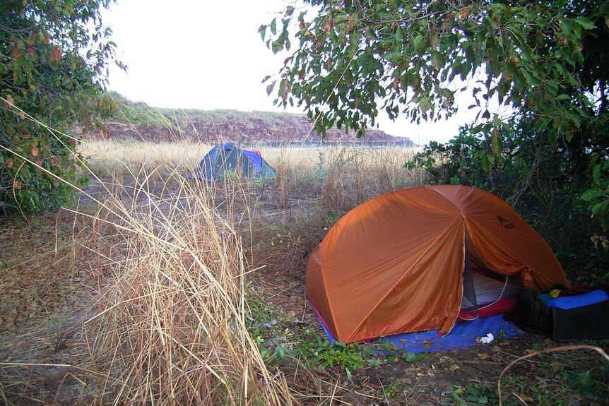 Image of two tents in grassland in on a remote area of coastline.
