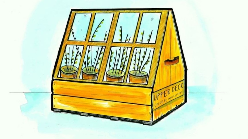 A drawing of a wooden Wardian case complete with glass slides and plants.