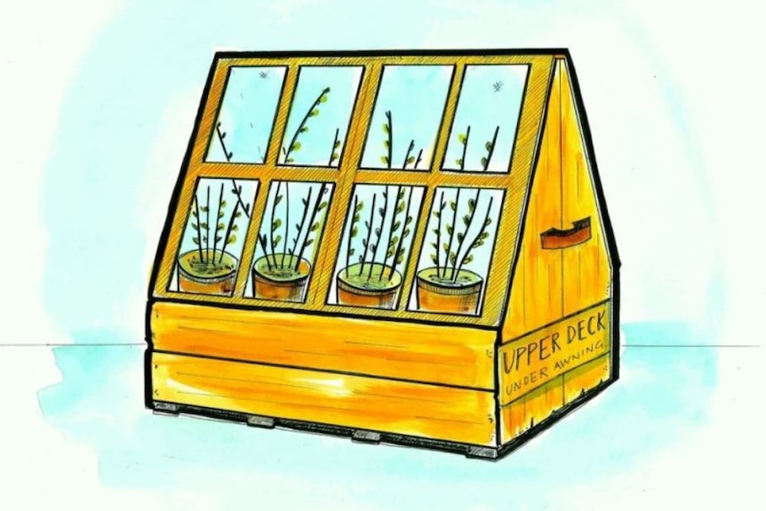 A drawing of a wooden Wardian case complete with glass slides and plants.