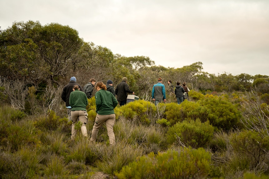 A group of people walk through low-lying scrubland