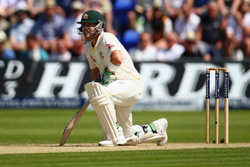 Brad Haddin reacts to dismissal in Cardiff