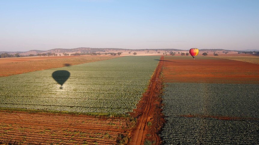 A hot air balloon is reflected on a paddock below