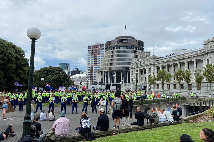 Police line up around protesters at the parliament building. 